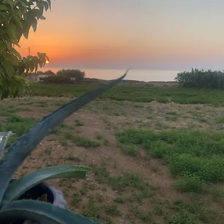 Seafront Blue Agave * Magnisía